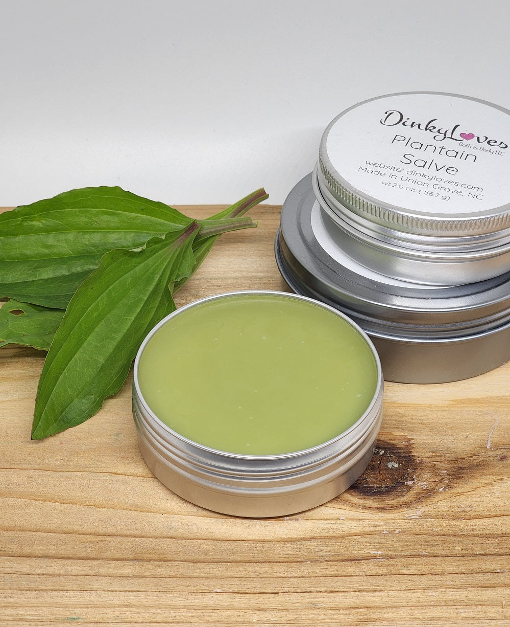 PLANTAIN SALVE / Herbal Salve / Scars / Wounds / Insect Bites